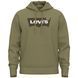 Levi's Standard Graphic Hoodie Bw Ssnl Hoodie S 38424-0019 фото