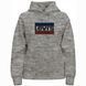 Levi's Graphic Standard Hoodie Hoodie Core Spo S 18487-0088 фото