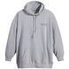 Жіноче худі Levi's Pl Graphic Prism Hoodie Pl Hoodie Silve 3XL A3573-0000 3XL 5401043599813 фото