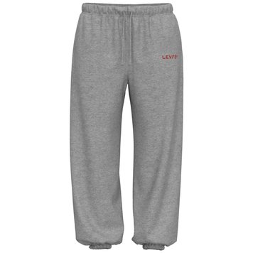 Спортивні штани Levi's GRAPHIC LAUNDRY SWEATPNT SWEATPANT EVER XS A3569-0001 XS 5401043838981 XS фото