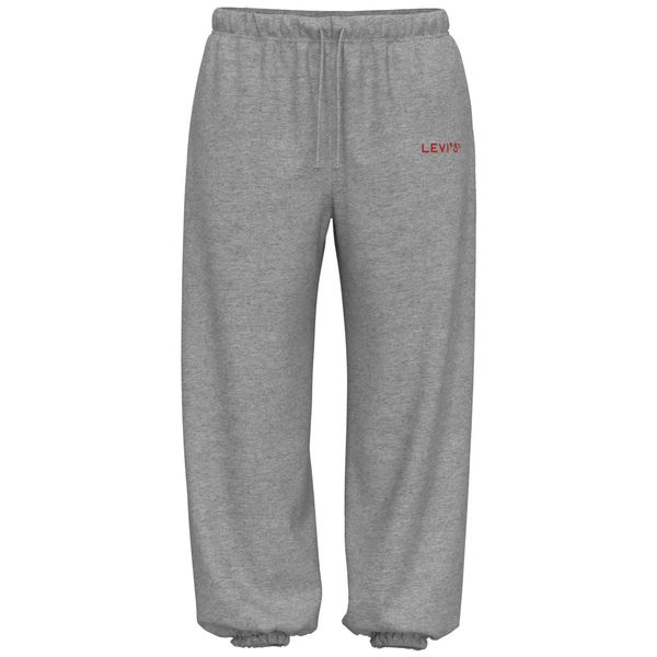 Спортивные штаны Levi's GRAPHIC LAUNDRY SWEATPNT SWEATPANT EVER XS A3569-0001 XS 5401043838981 XS фото