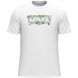 Футболка чоловіча Levi's GRAPHIC CREWNECK TEE WATERCOLOR BW FILL 22491-1317 S 5401128031719 S фото