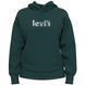 Кофта жіноча Levi's GRAPHIC STANDARD HOODIE SSNL POSTER LOG XXS 18487-0199 XXS 5401105151621 XXS фото